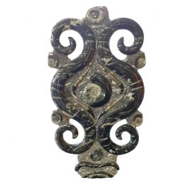 orthoceras and goniatite sculptur