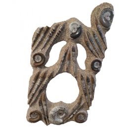 orthoceras and goniatite giant plate