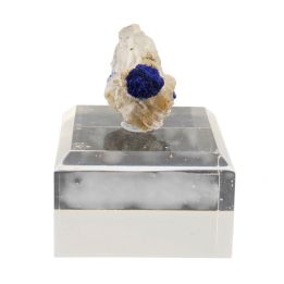 Azurite on Gypsum