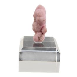 Cobalto-Calcite
