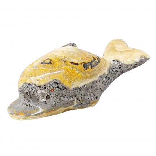 dolphin bumblebee jasper