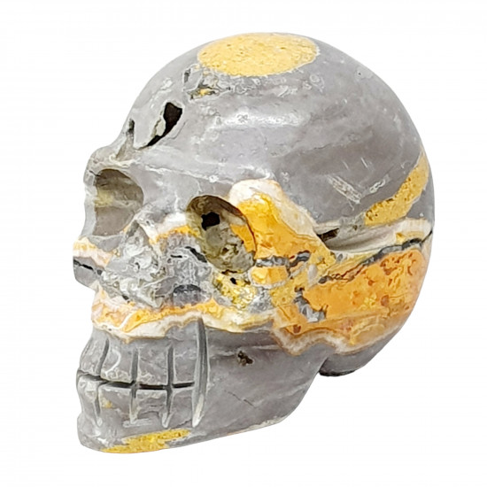 skull bumblebee jasper
