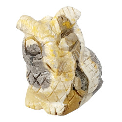Owl bumblebee jasper