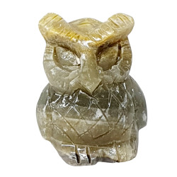 Owl bumblebee jasper