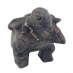 blatoise pyrite pokemon