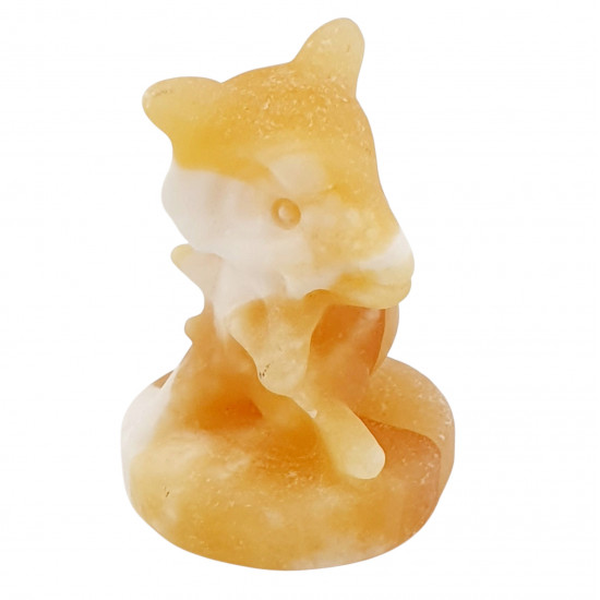 cubone yellow aragonite pokemon