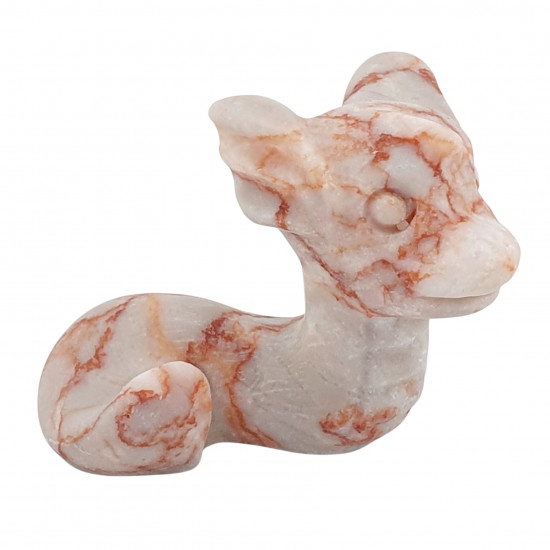 dratini marble pokemon