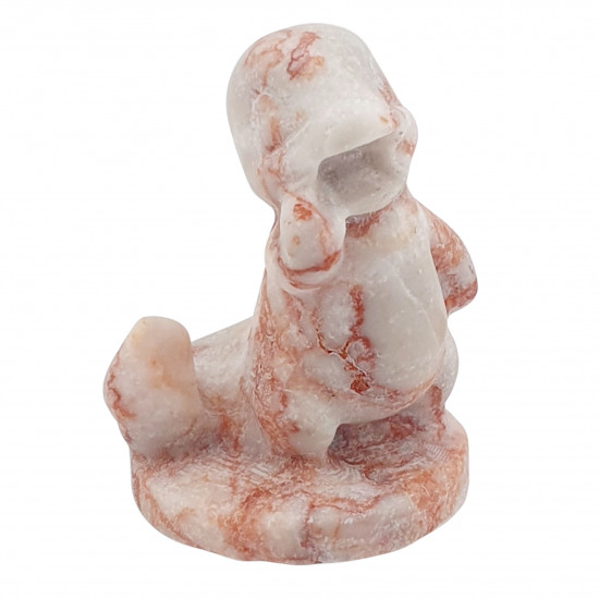 salamander marble pokemon