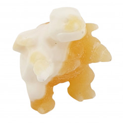 blatoise yellow aragonite pokemon