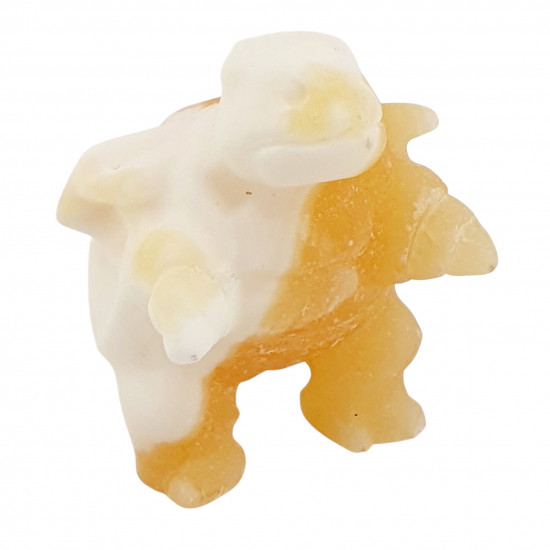 blatoise yellow aragonite pokemon