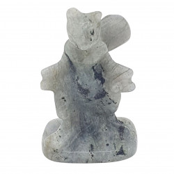 mewtwo labradorite pokemon