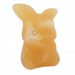 Pikachu aragonite jaune pokemon