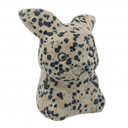Pikachu dalmatien pokemon