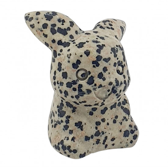 pikachu dalmatian pokemon