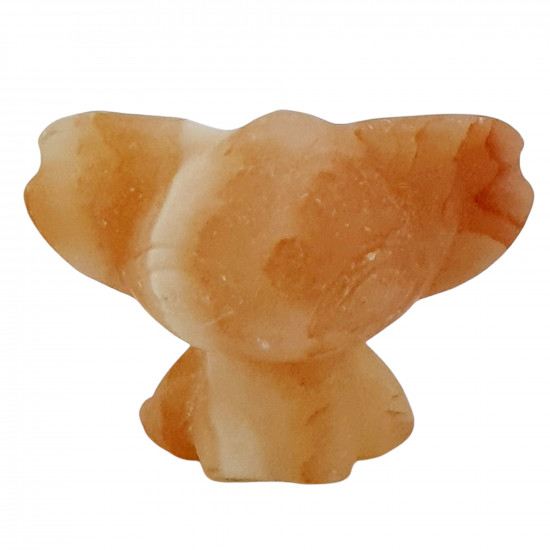 yellow aragonite stitch