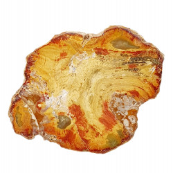 bois fossile de madagascar 
