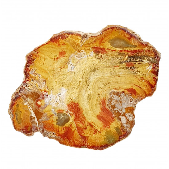 bois fossile de madagascar 