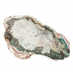 petrified wood from madagascar 