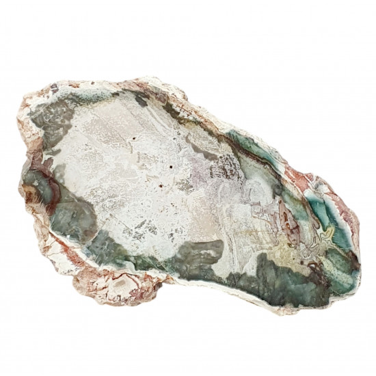 petrified wood from madagascar 