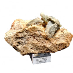 edenite