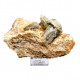edenite