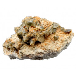 edenite