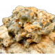 edenite