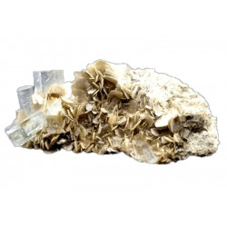 Aquamarine on muscovite