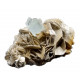 Aquamarine on muscovite