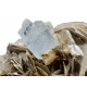 Aquamarine on muscovite