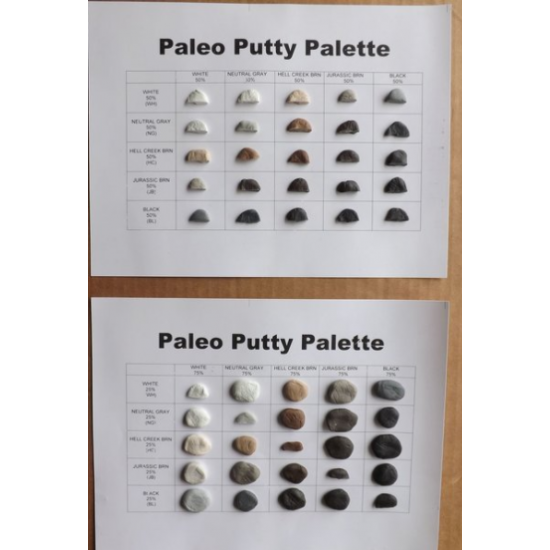 PB121 kit PaleoSculp 5# hell creek brown