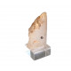 quartz and anatase