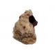 tourmaline - liddicoatite