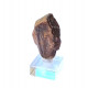 monazite