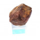 monazite