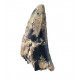 afrovenator abakensis