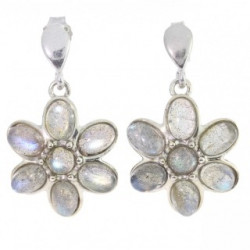 Sterling Silver Labradorite Earrings E-50-01