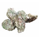 heulandite and celadonite