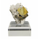 Pyrite & Quartz
