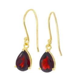 Vermeil Garnet Earrings EF45
