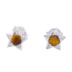 Sterling Silver Tiger's Eye Earrings EF-33