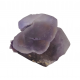 fluorite lake george colorado