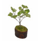 Mini tree peridot 6.5 cm