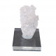 Dissolved Quartz crystal