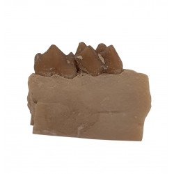 Leptomeryx evansi (jaw)