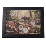 Collection de fossiles de mammiferes du dakota du sud