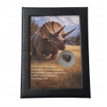 triceratops horridus (tooth)