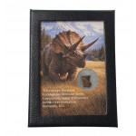 triceratops horridus (tooth)