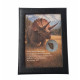 triceratops horridus (tooth)