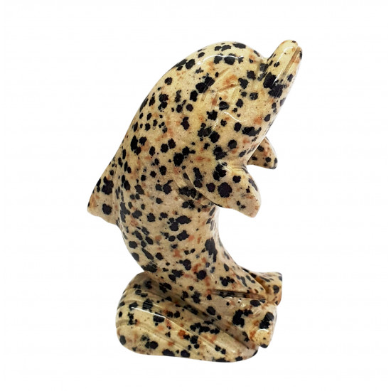 dolphin dalmatian jasper
